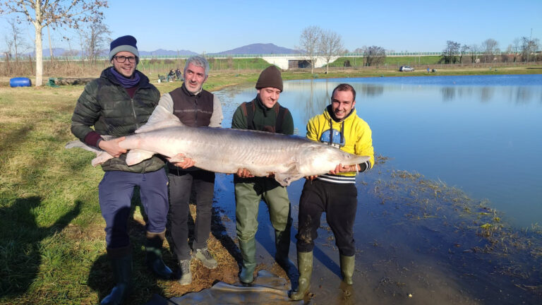 Brescia che pesca a Poncarale: tanti saluti dal Laghetto Fiorito