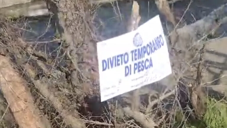 Ripartite le semine pronta pesca nelle acque convenzionate della sezione provinciale Fipsas