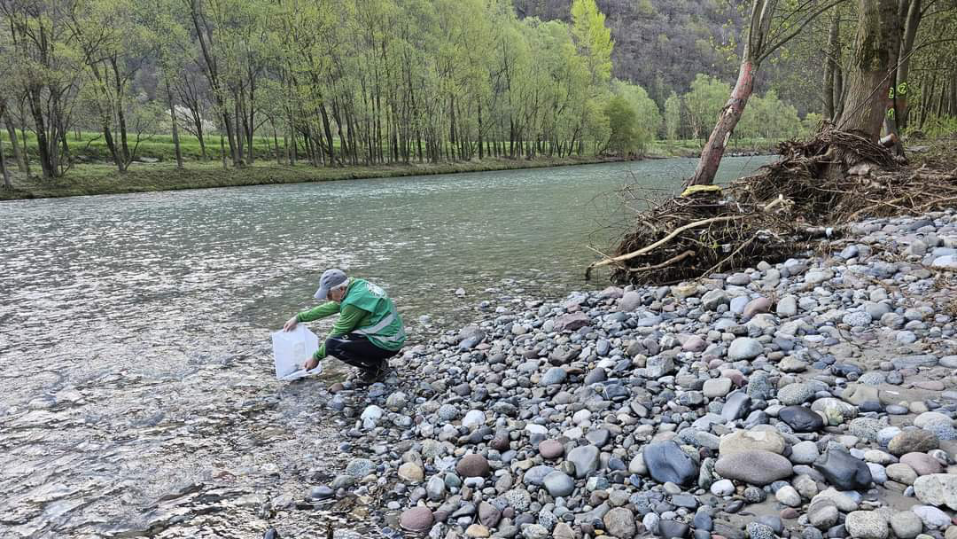 ATS Bacino di Pesca 10 Vallecamonica: seminate 100.000 Trote Marmorate, come da programma