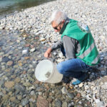 ATS Bacino di Pesca 10 Vallecamonica: le Trote Marmorate nel medio e basso fiume Oglio