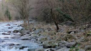 In scena a Bovegno il Campionato Italiano di Pesca alla Trota in Torrente Under 14, 18, 23