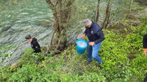 14.000 Trote Marmorate e 18.000 Temoli immessi nel Bacino Pesca 11 Valle Sabbia - Fiume Chiese