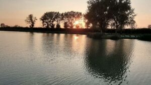 Al Lago Giardinetto di Roncadelle la Festa di Fine Estate, per stare insieme tra buon cibo e musica