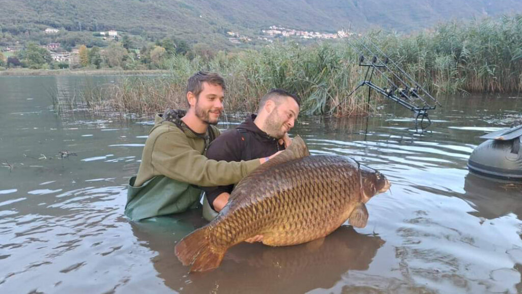 Dalle acque del lago d'Endine la Carpa da record, dal peso di oltre 35 chili