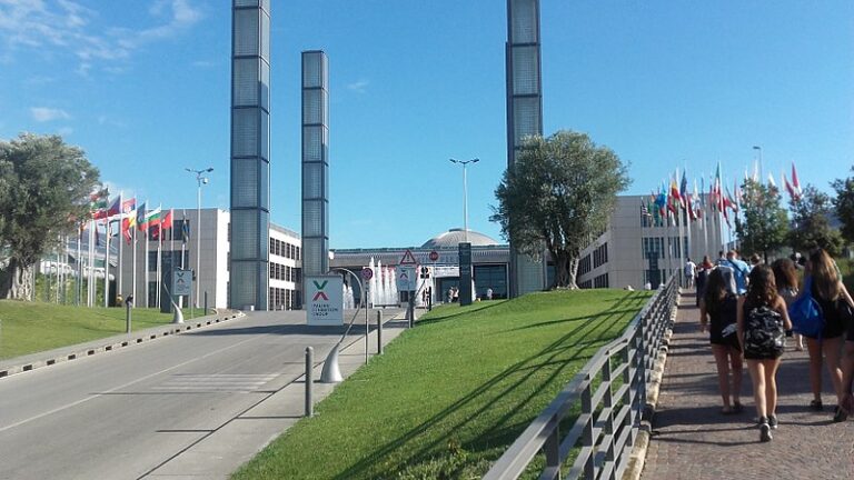 Alla Fiera di Rimini due convegni Fipsas per fare il punto sulla pesca sportiva