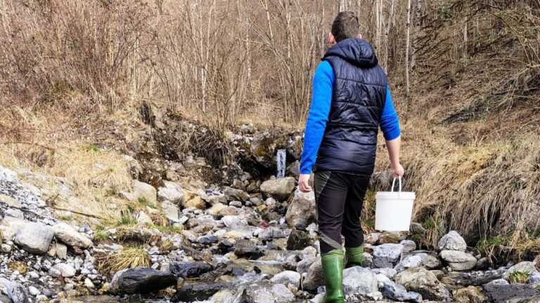 600.000 uova di Fario in scatole Vibert per ATS - Bacino di Pesca 10 Vallecamonica