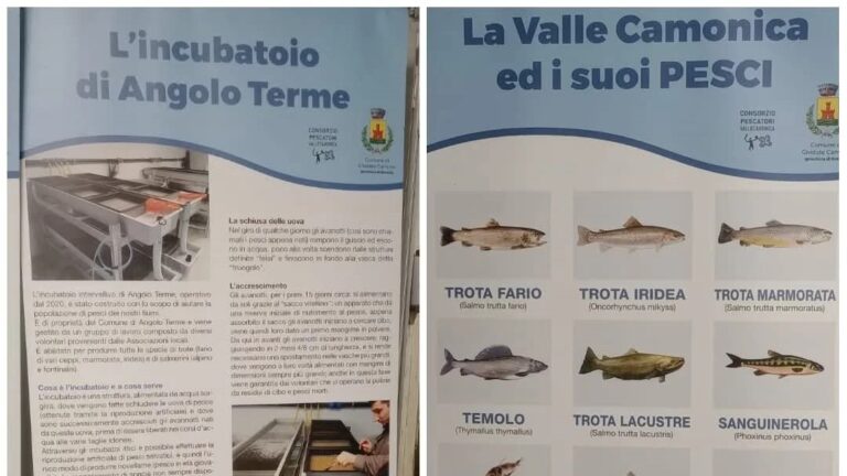 Walter Corini: «Il Consorzio Pescatori di Valle Camonica riassume una passione condivisa»